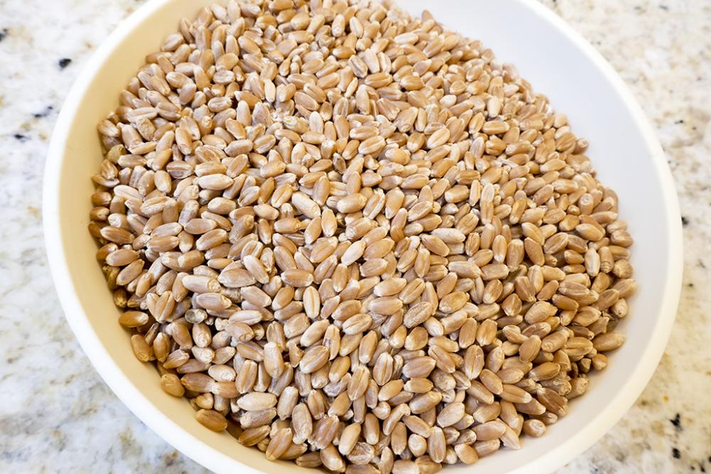 Winter Wheat Berries.jpg