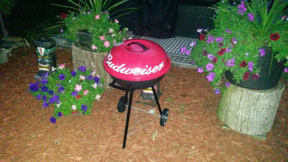 Fake Weber.jpeg