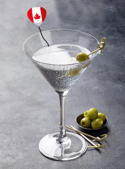 vodka-martini-cocktail.jpg.bc1ed4612811961e4b15079e220548a0.jpg