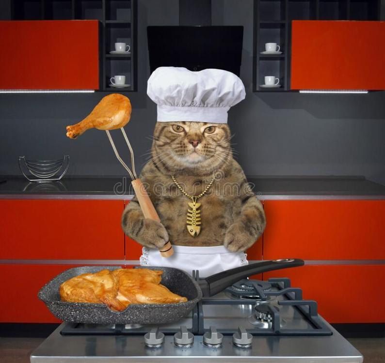 cat-cooks-roasted-chicken-legs-red-kitchen-beige-cat-chef-hat-apron-standing-near-gas-stove-which-181941288.jpg